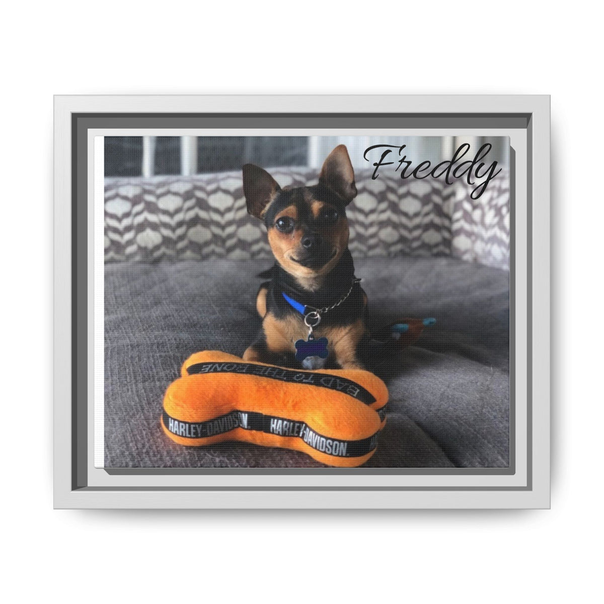 Freddy -Framed Matte Canvas