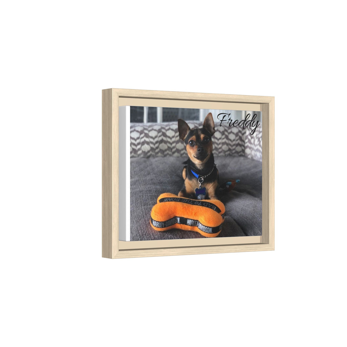 Freddy -Framed Matte Canvas