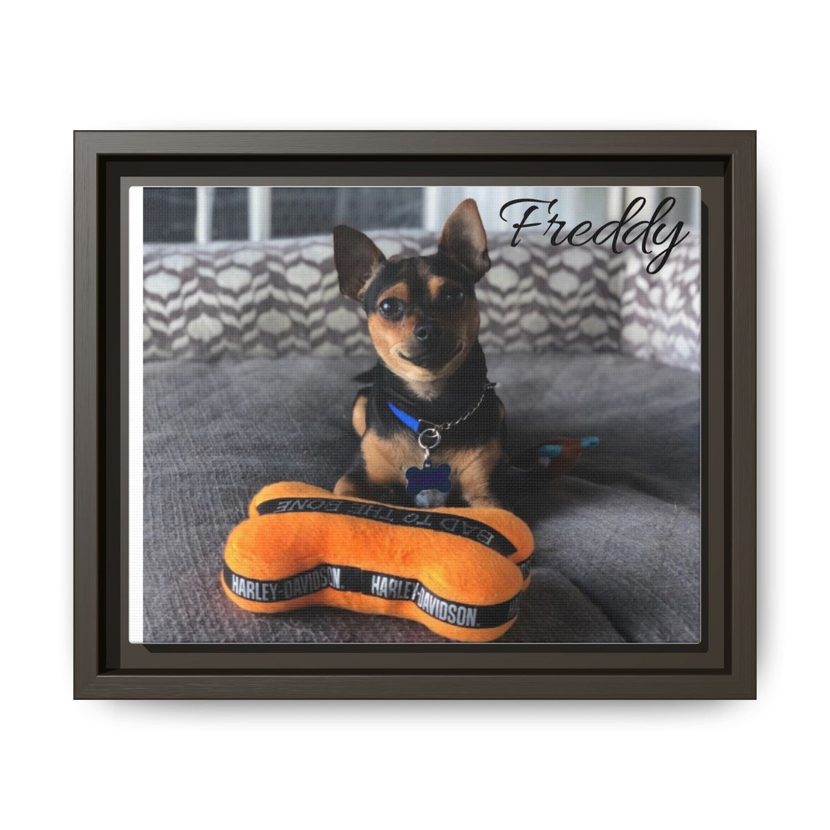 Freddy -Framed Matte Canvas