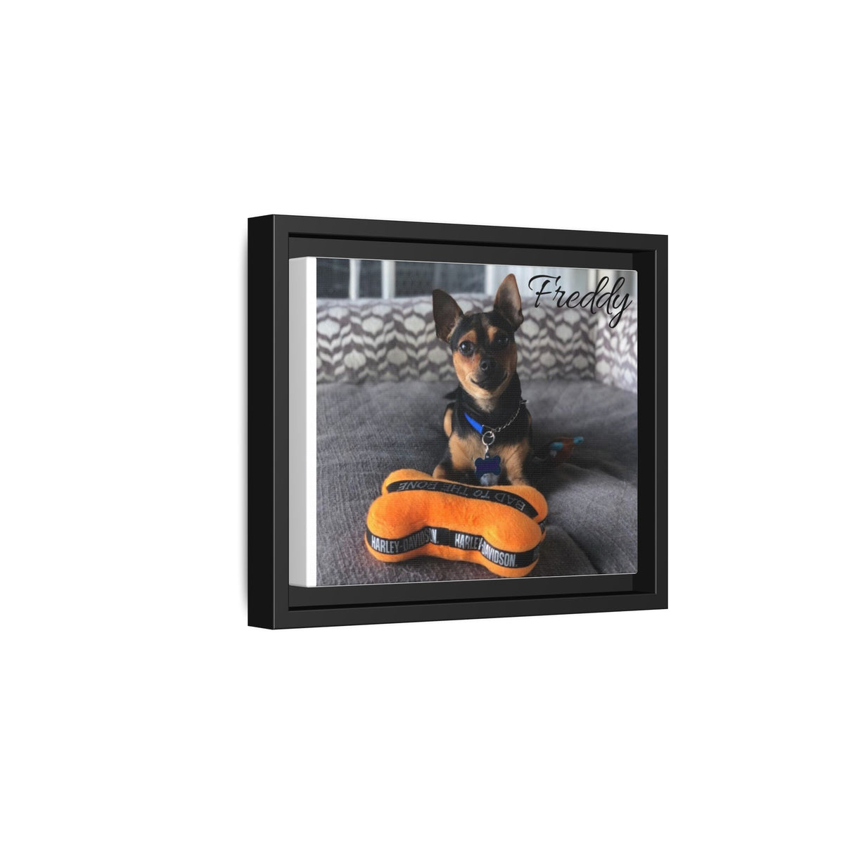 Freddy -Framed Matte Canvas